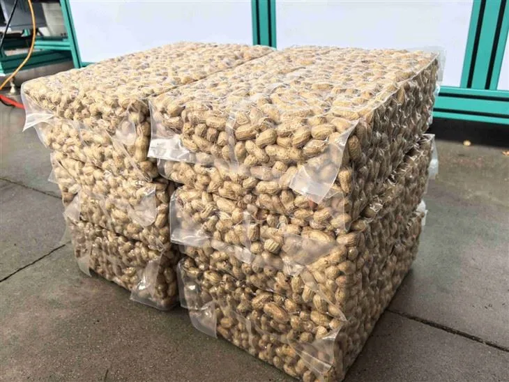 peanuts brick shape vacuum sealing packing machine