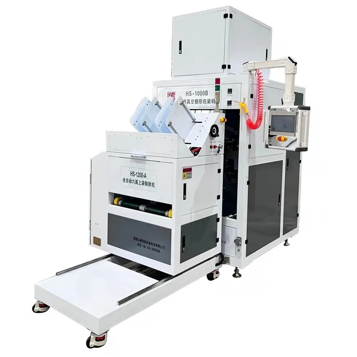 Fully Automatic Brick-shaped Vacuum Packing Machine