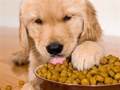 The Debate Over Pet Food Freshness: How Vacuum Shaping Packaging Extends Palatability and Nutrien...