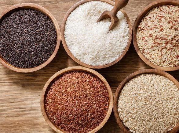 50kg Granular Material Electronic Quantitative Packaging Scale 50kg Granular Material Electronic Quantitative Packaging Scale