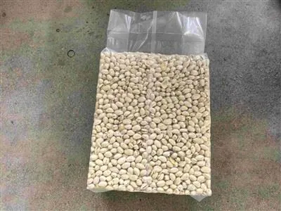 semi automatic pistachio nuts vacuum packaging equipment semi automatic pistachio nuts vacuum packaging equipment